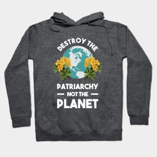 Destroy The Patriarchy Not The Planet Best Merch Hoodie